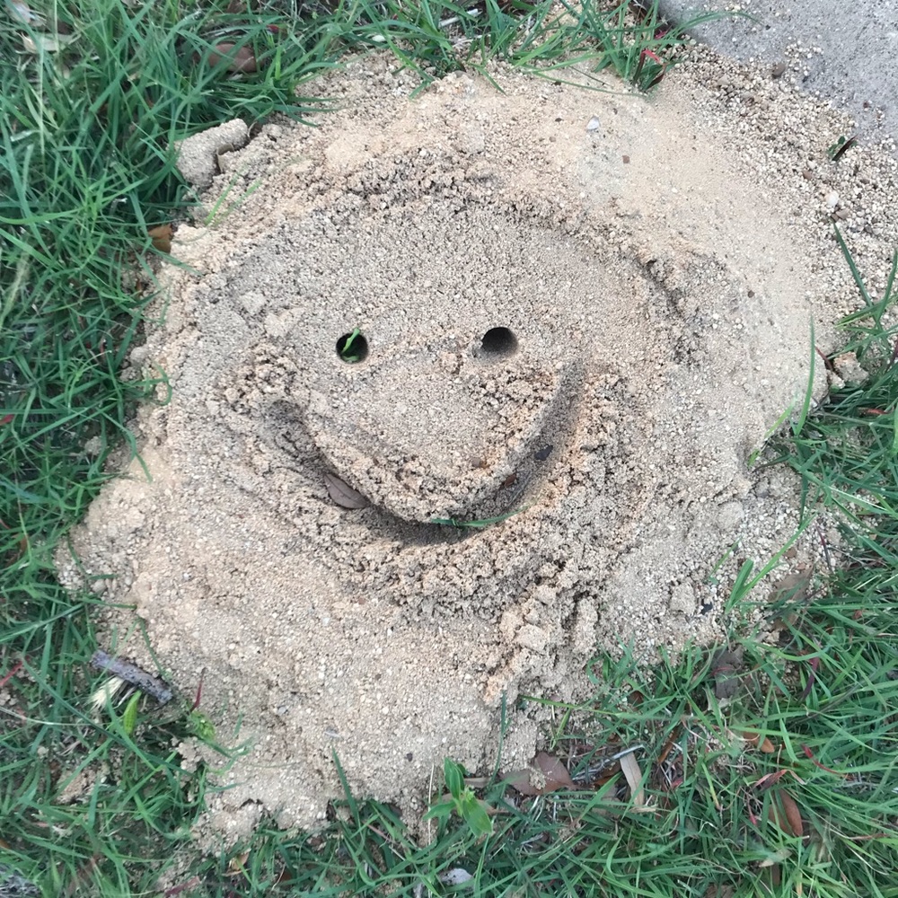 Pants & Jumpsuits for Sale